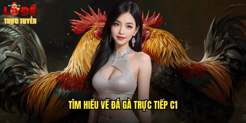 Tìm hiểu về đá gà trực tiếp C1
