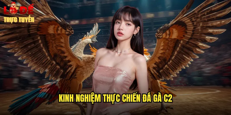 Kinh nghiệm thực chiến đá gà c2